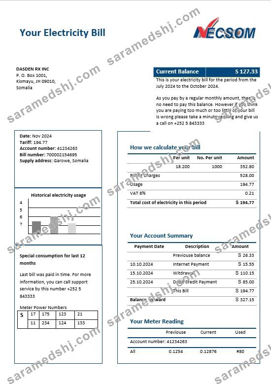Somalia NESCOM Company electricity business utility bill template in Word and PDF formats